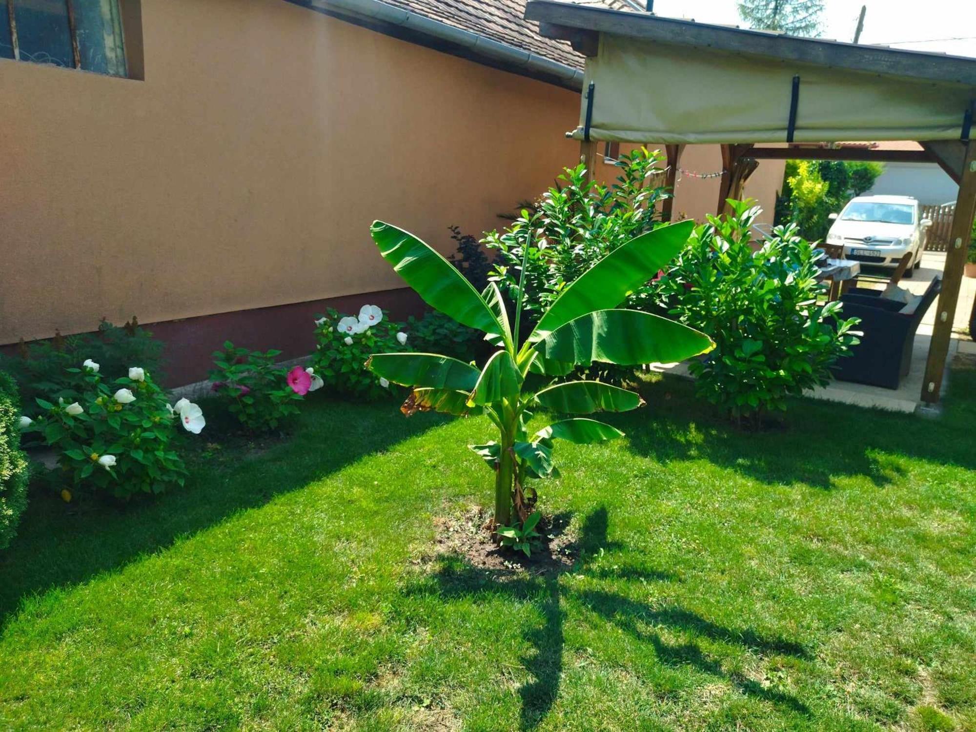 Csaba Apartman Hajdúszoboszló Exterior foto